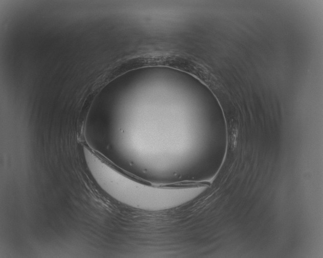 X0000070181204200605301342