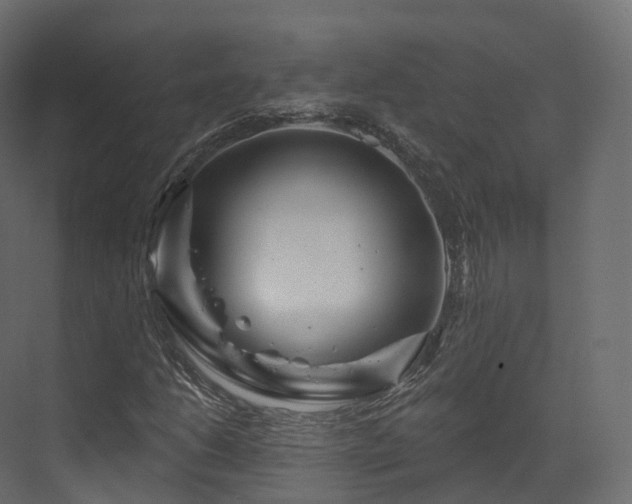 X0000070181206200605301342