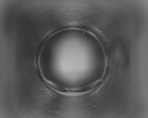 X0000070181209200605301342