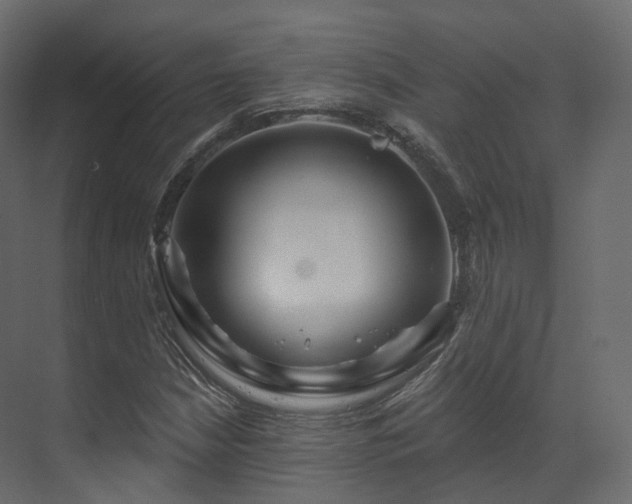 X0000070181210200605301342