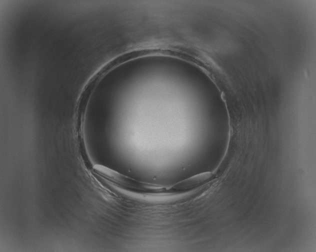 X0000070181216200605301342
