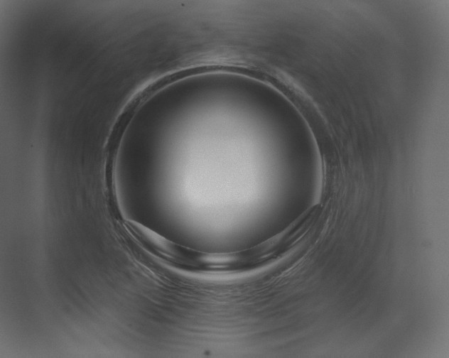 X0000070181222200605301343