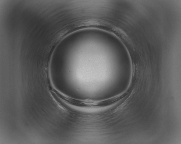 X0000070181225200605301343