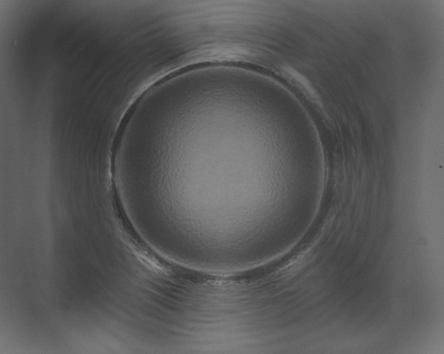 X0000070181226200605301343