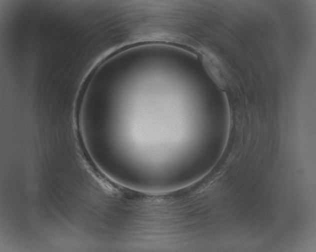 X0000070181230200605301343