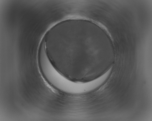 X0000070181231200605301343