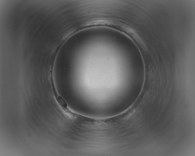 X0000070181233200605301343