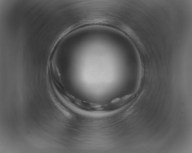 X0000070181234200605301343