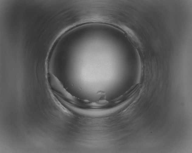 X0000070181238200605301343
