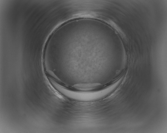 X0000070181240200605301343