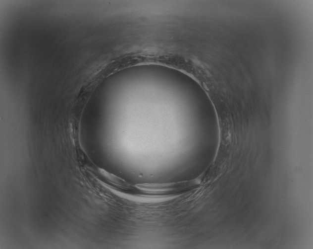 X0000070181253200605301342