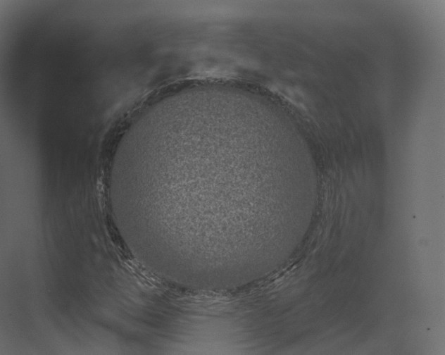 X0000070181254200605301342