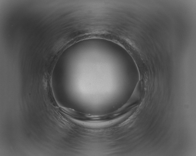 X0000070181257200605301342