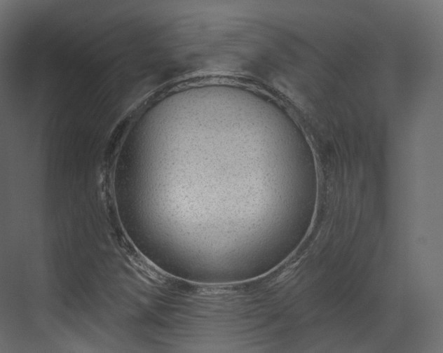 X0000070181258200605301342
