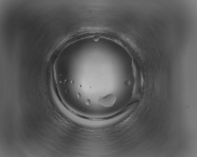 X0000070181261200605301342