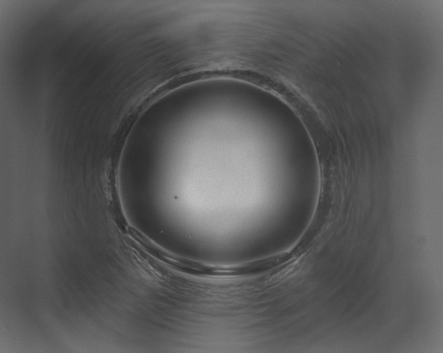 X0000070181265200605301342