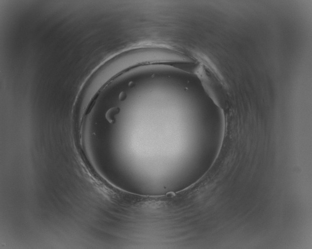 X0000070181268200605301342