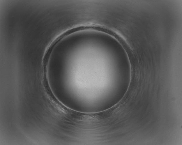 X0000070181270200605301342