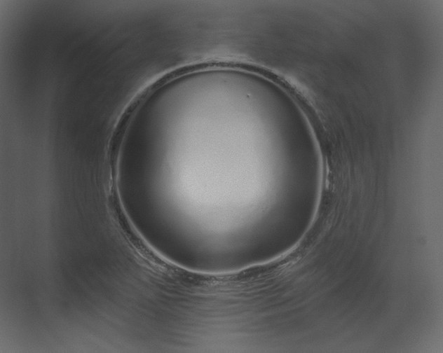X0000070181271200605301342