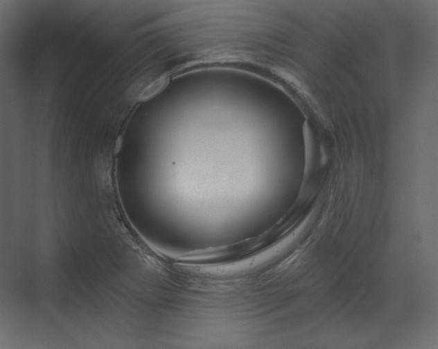 X0000070181273200605301342