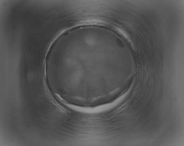 X0000070181275200605301342