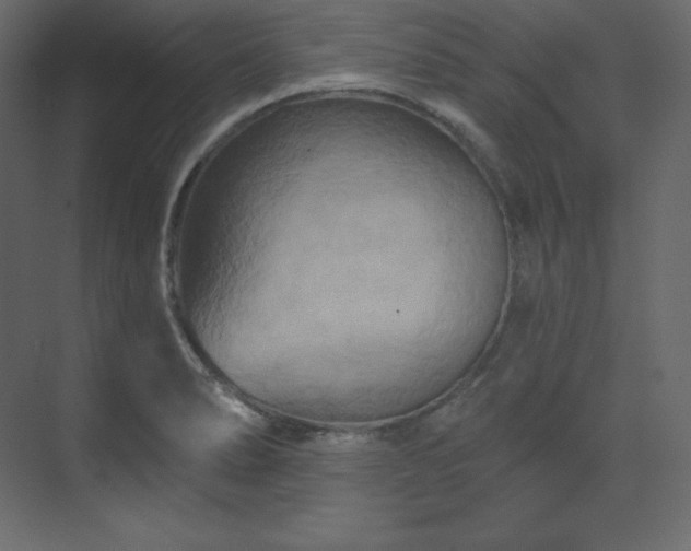 X0000070181278200605301342