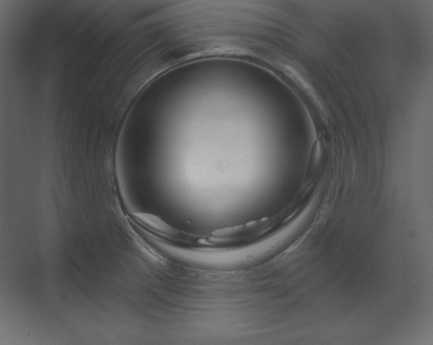 X0000070181281200605301342