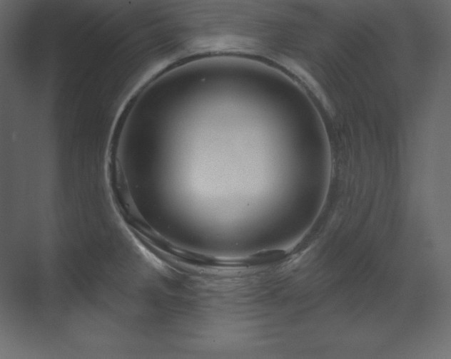 X0000070181285200605301342