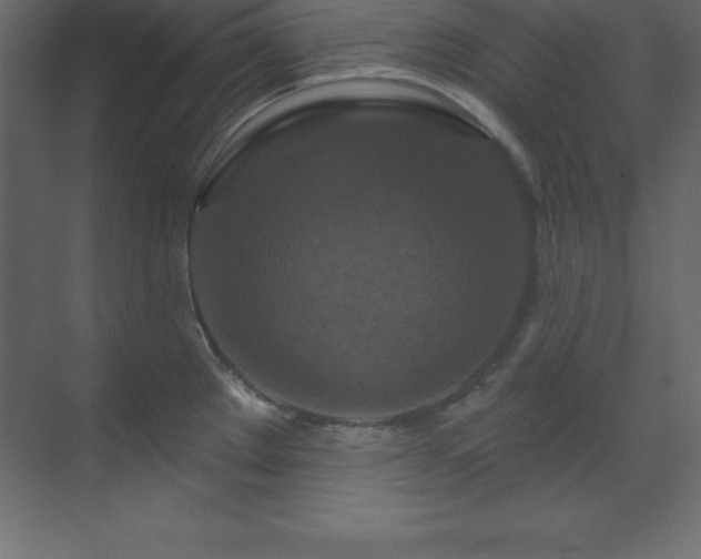 X0000070181289200605301341