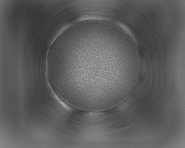 X0000070181290200605301341