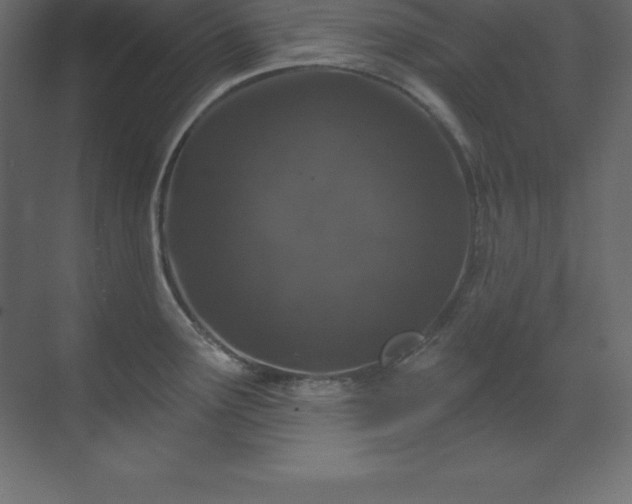 X0000070181291200605301341