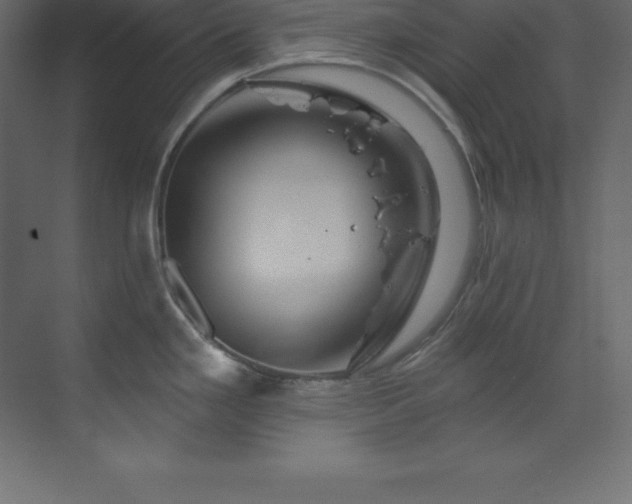 X0000070181293200605301341