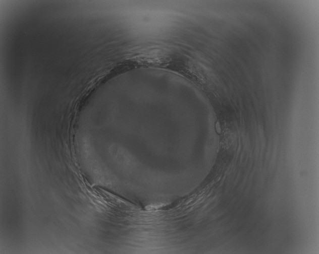 X0000070181297200605301341
