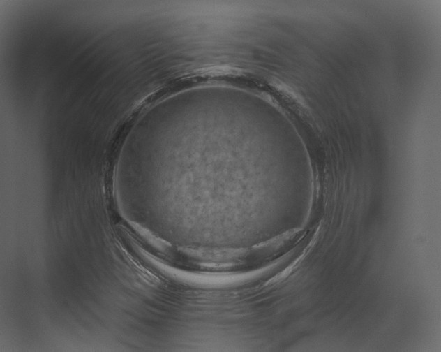 X0000070181305200605301341