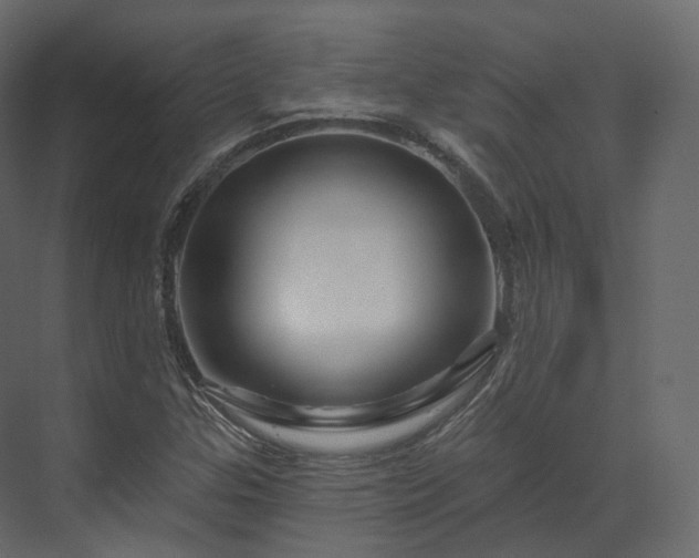 X0000070181307200605301341