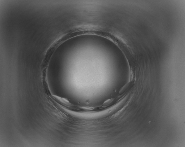 X0000070181309200605301341