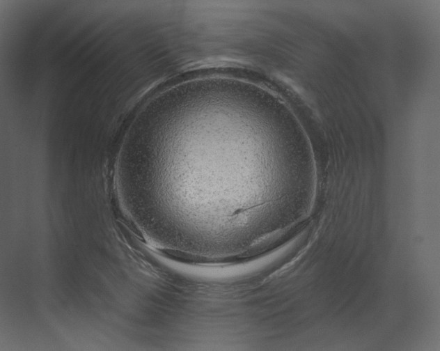 X0000070181313200605301341