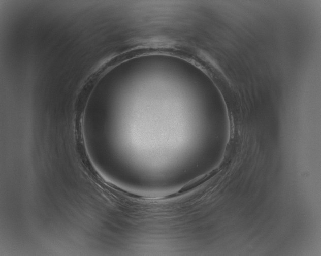 X0000070181315200605301341
