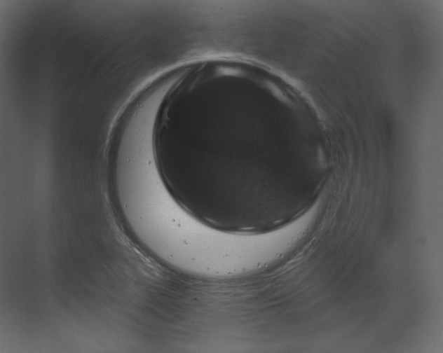 X0000070181319200605301341