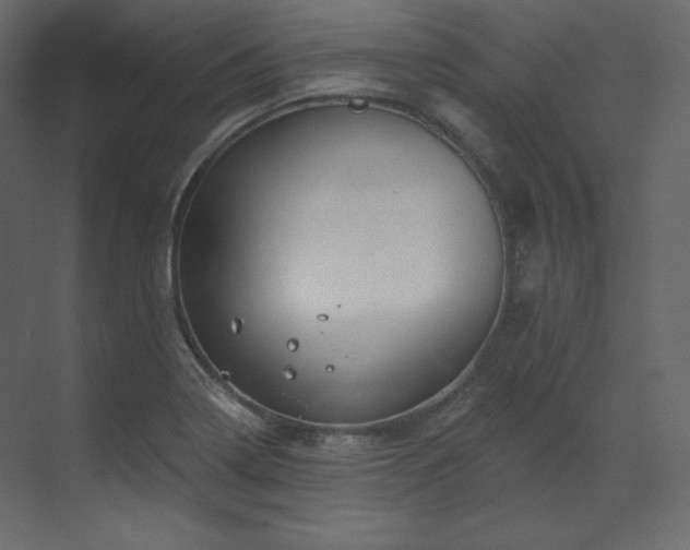 X0000070181322200605301341