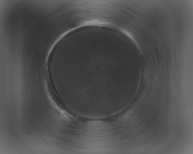 X0000070181323200605301341