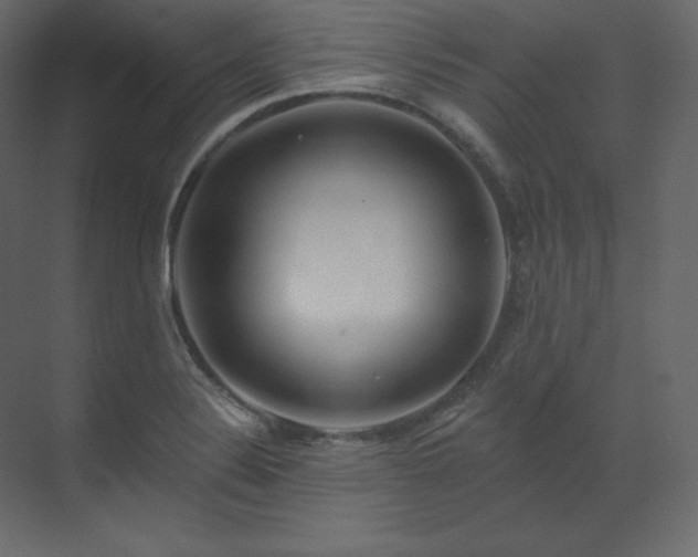 X0000070181324200605301341