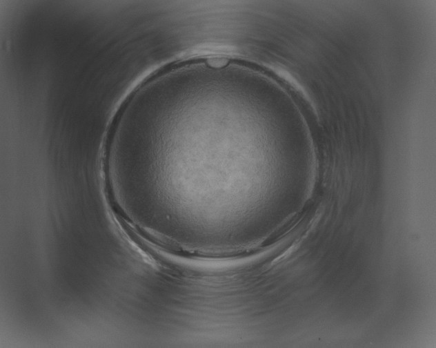 X0000070181325200605301341