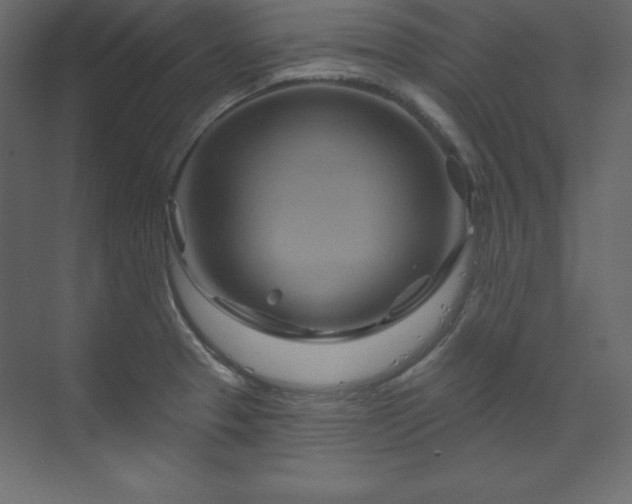 X0000070181329200605301341