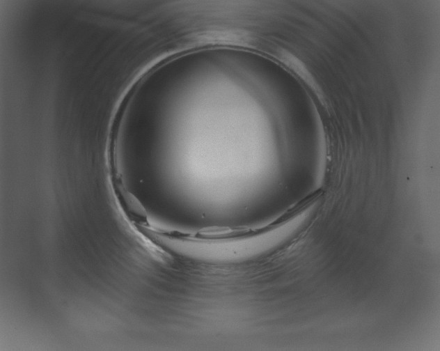 X0000070181339200605301341
