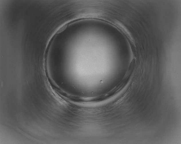 X0000070181340200605301341