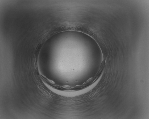 X0000070181348200605301341
