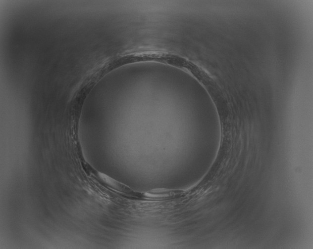 X0000070181351200605301340