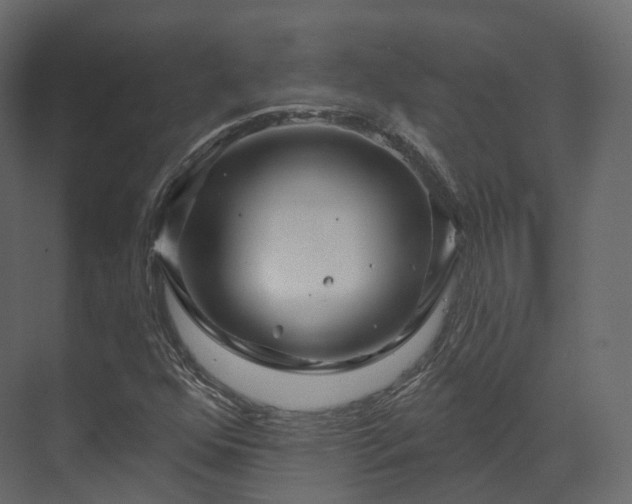 X0000070181352200605301340
