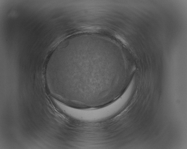 X0000070181354200605301340